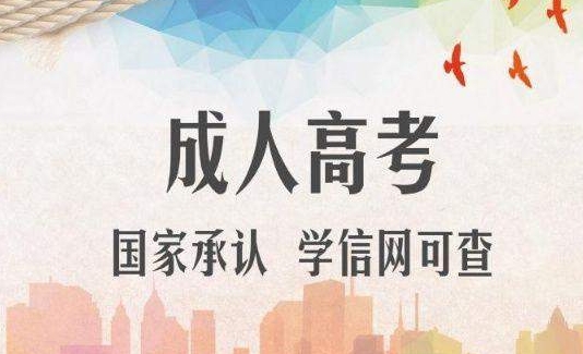 2024年青岛成考专升本报考流程